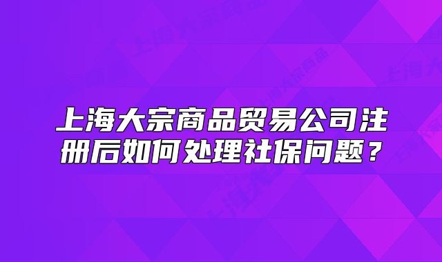 上海大宗商品貿(mào)易公司注冊后如何處理社保問題？