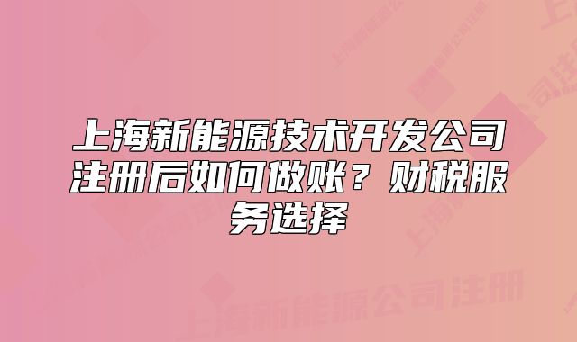 上海新能源技術(shù)開發(fā)公司注冊后如何做賬？財稅服務(wù)選擇