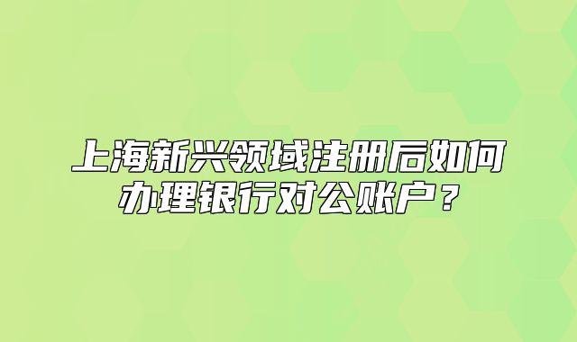 上海新興領(lǐng)域注冊(cè)后如何辦理銀行對(duì)公賬戶(hù)？