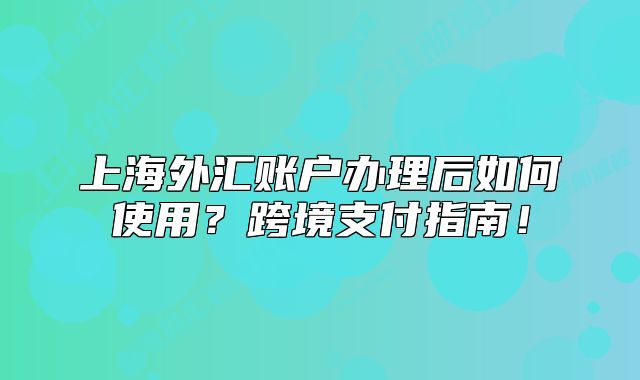 上海外匯賬戶辦理后如何使用？跨境支付指南！