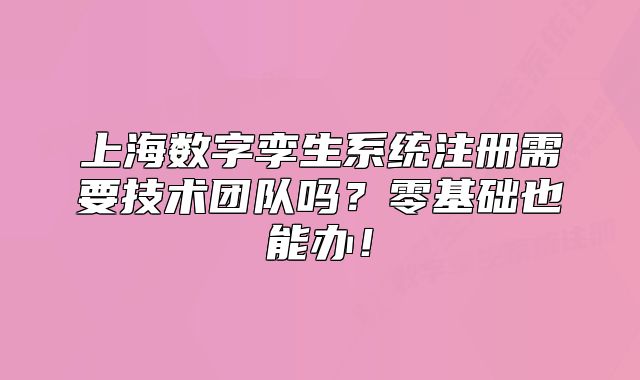 上海數(shù)字孿生系統(tǒng)注冊(cè)需要技術(shù)團(tuán)隊(duì)嗎？零基礎(chǔ)也能辦！