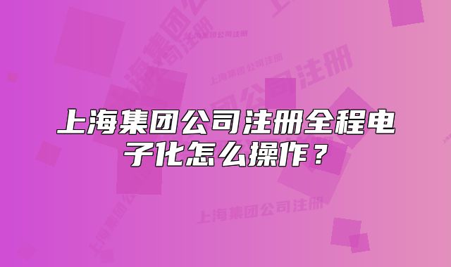 上海集團(tuán)公司注冊全程電子化怎么操作？