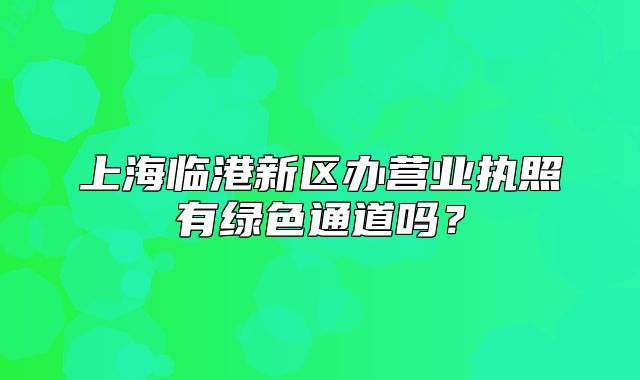 上海臨港新區(qū)辦營業(yè)執(zhí)照有綠色通道嗎？