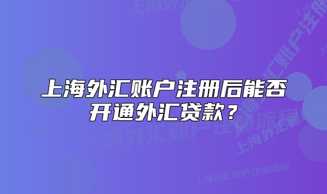 上海外匯賬戶注冊后能否開通外匯貸款？