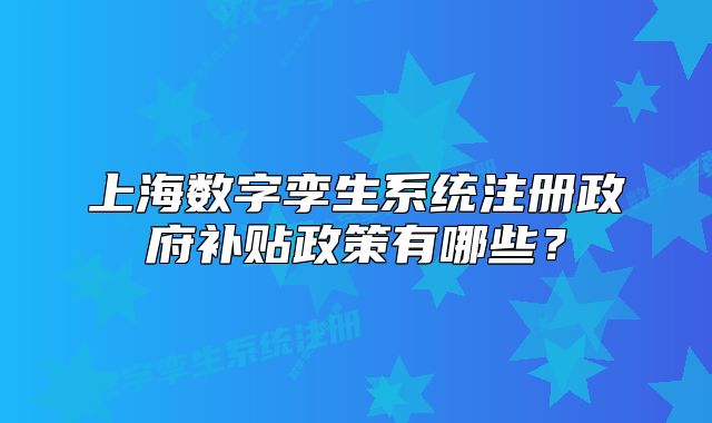上海數(shù)字孿生系統(tǒng)注冊政府補貼政策有哪些？