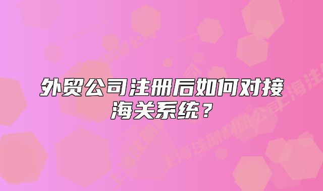 外貿(mào)公司注冊后如何對(duì)接海關(guān)系統(tǒng)？