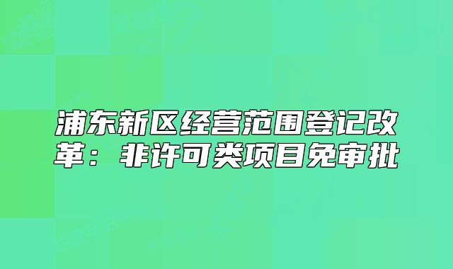 浦東新區(qū)經(jīng)營范圍登記改革：非許可類項目免審批