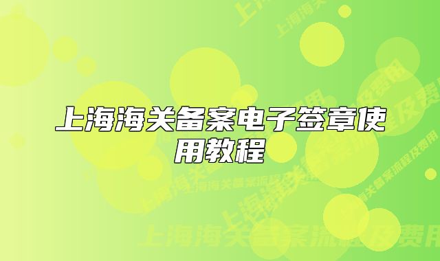 上海海關(guān)備案電子簽章使用教程