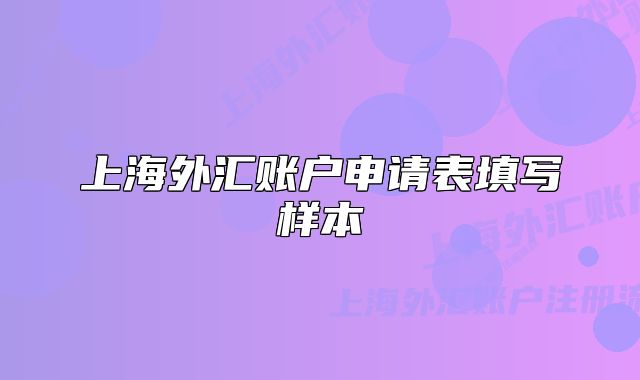上海外匯賬戶申請表填寫樣本