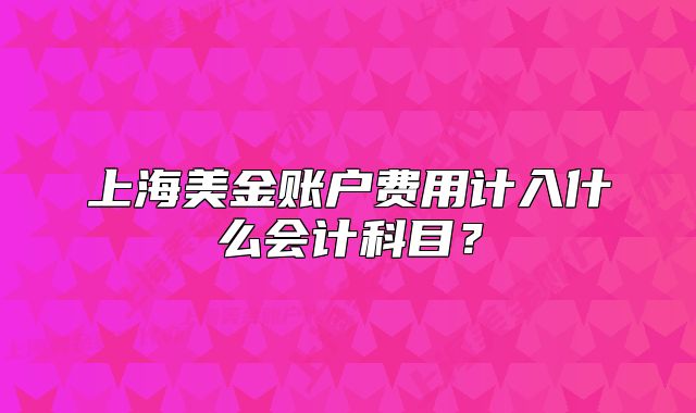 上海美金賬戶費(fèi)用計(jì)入什么會(huì)計(jì)科目？