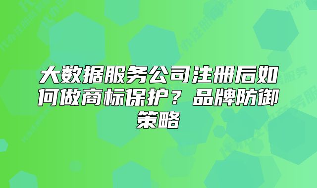 大數(shù)據(jù)服務(wù)公司注冊后如何做商標保護？品牌防御策略