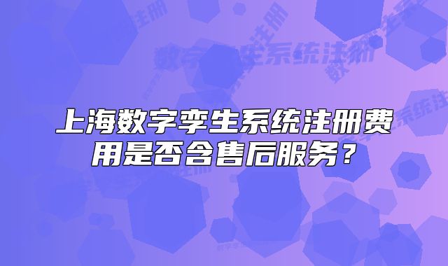 上海數(shù)字孿生系統(tǒng)注冊(cè)費(fèi)用是否含售后服務(wù)？