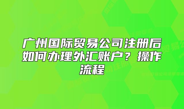 廣州國際貿(mào)易公司注冊后如何辦理外匯賬戶？操作流程