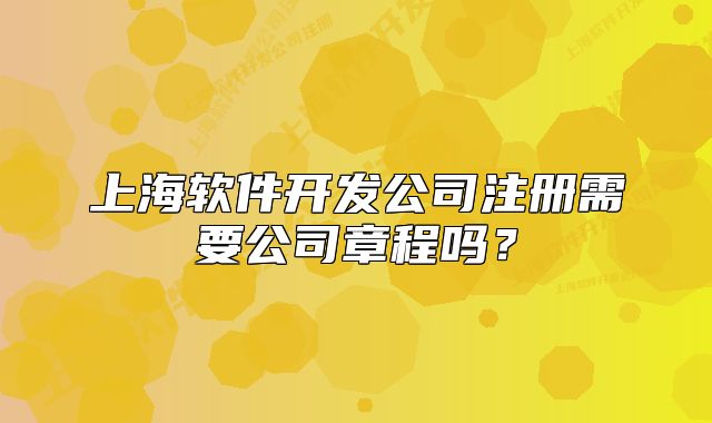 上海軟件開發(fā)公司注冊需要公司章程嗎？
