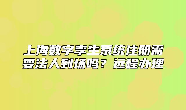上海數(shù)字孿生系統(tǒng)注冊需要法人到場嗎？遠(yuǎn)程辦理