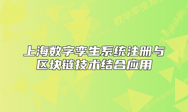 上海數(shù)字孿生系統(tǒng)注冊與區(qū)塊鏈技術(shù)結(jié)合應(yīng)用