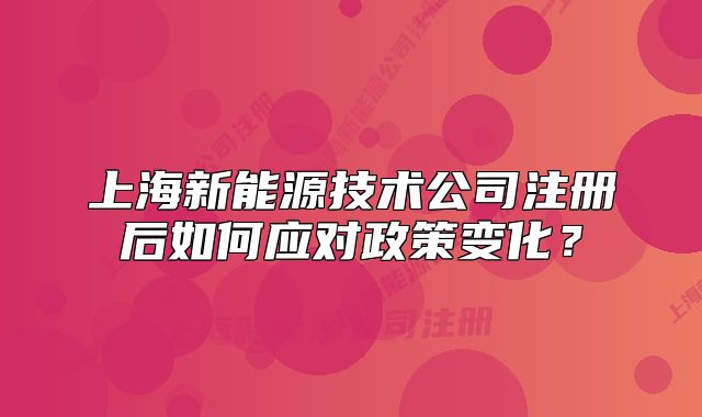 上海新能源技術公司注冊后如何應對政策變化？