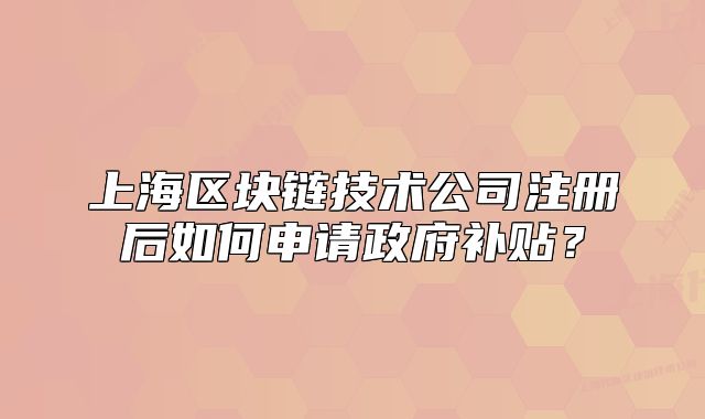 上海區(qū)塊鏈技術(shù)公司注冊后如何申請政府補貼？