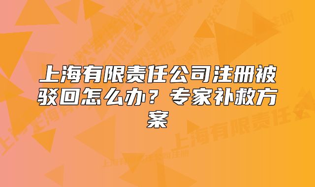 上海有限責(zé)任公司注冊被駁回怎么辦？專家補救方案