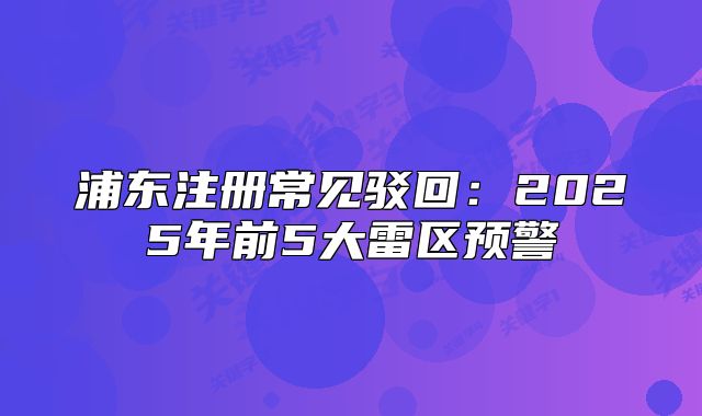 浦東注冊常見駁回：2025年前5大雷區(qū)預(yù)警