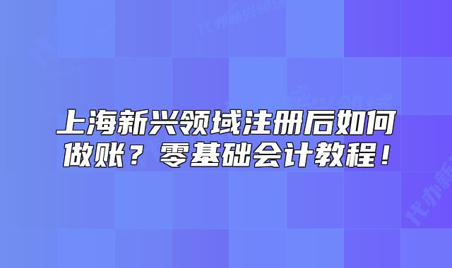 上海新興領(lǐng)域注冊后如何做賬？零基礎(chǔ)會計教程！