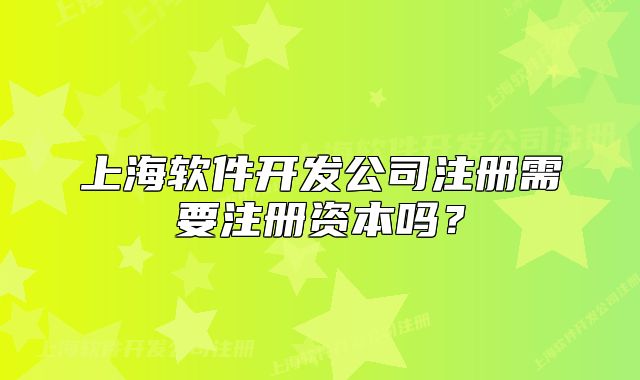 上海軟件開(kāi)發(fā)公司注冊(cè)需要注冊(cè)資本嗎?