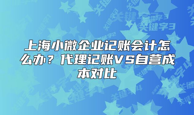 上海小微企業(yè)記賬會計(jì)怎么辦？代理記賬VS自營成本對比