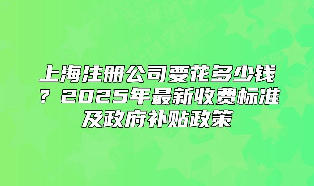 上海注冊公司要花多少錢？2025年最新收費標準及政府補貼政策
