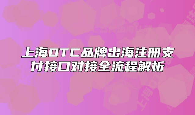 上海DTC品牌出海注冊支付接口對接全流程解析