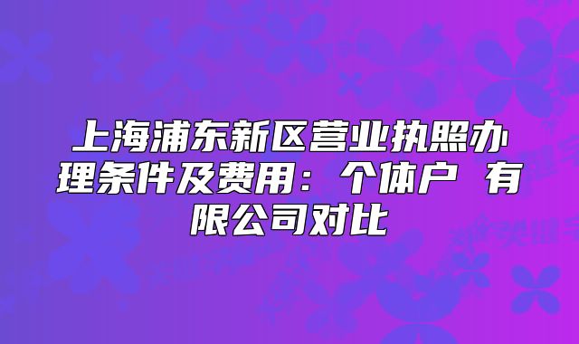 上海浦東新區(qū)營業(yè)執(zhí)照辦理條件及費用：個體戶 有限公司對比