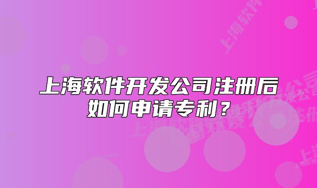 上海軟件開發(fā)公司注冊(cè)后如何申請(qǐng)專利？