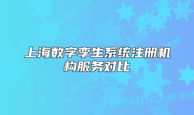 上海數(shù)字孿生系統(tǒng)注冊機(jī)構(gòu)服務(wù)對比