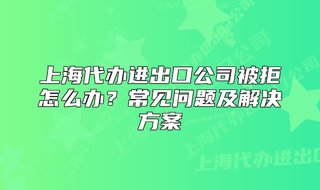 上海代辦進出口公司被拒怎么辦？常見問題及解決方案