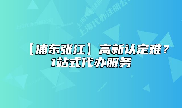 【浦東張江】高新認定難？1站式代辦服務