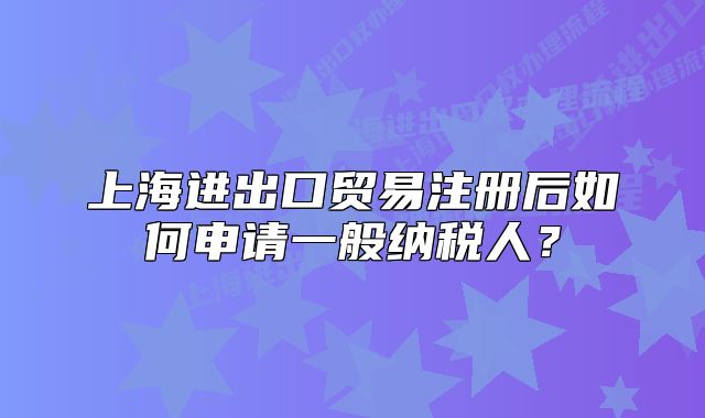 上海進(jìn)出口貿(mào)易注冊后如何申請一般納稅人？