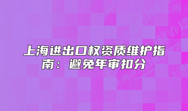 上海進出口權資質維護指南：避免年審扣分