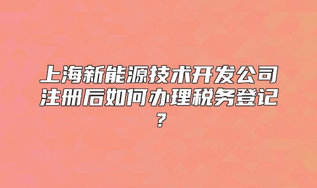 上海新能源技術(shù)開發(fā)公司注冊(cè)后如何辦理稅務(wù)登記？