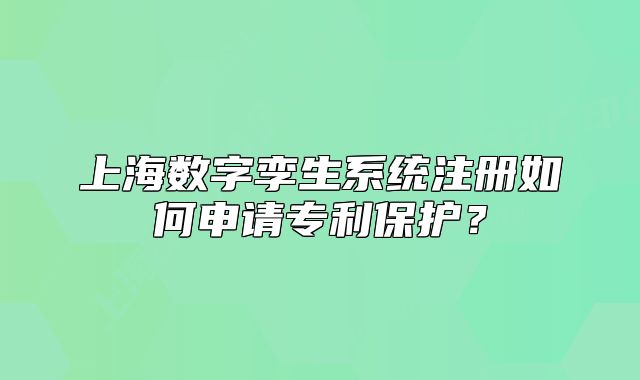 上海數(shù)字孿生系統(tǒng)注冊如何申請專利保護？