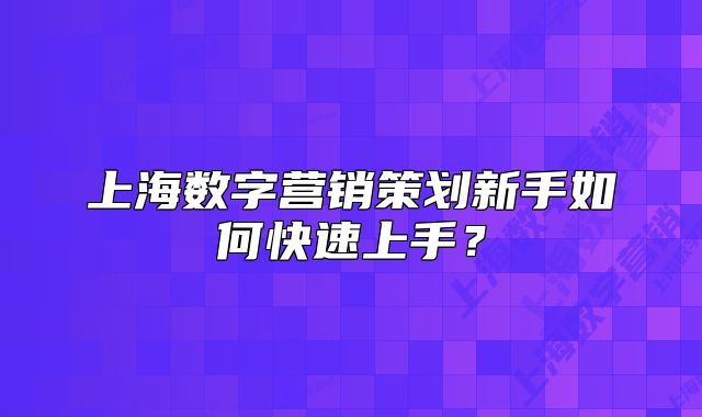 上海數(shù)字營銷策劃新手如何快速上手？