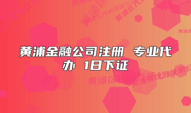 黃浦金融公司注冊(cè) 專業(yè)代辦 1日下證