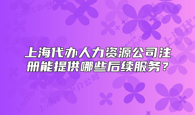 上海代辦人力資源公司注冊能提供哪些后續(xù)服務(wù)？