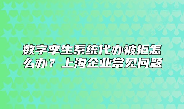 數(shù)字孿生系統(tǒng)代辦被拒怎么辦？上海企業(yè)常見問題
