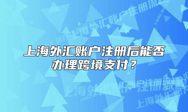 上海外匯賬戶注冊后能否辦理跨境支付？