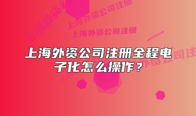 上海外資公司注冊全程電子化怎么操作？