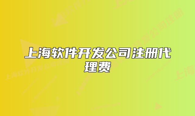 上海軟件開(kāi)發(fā)公司注冊(cè)代理費(fèi)