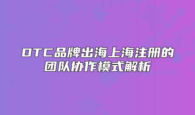DTC品牌出海上海注冊的團(tuán)隊(duì)協(xié)作模式解析