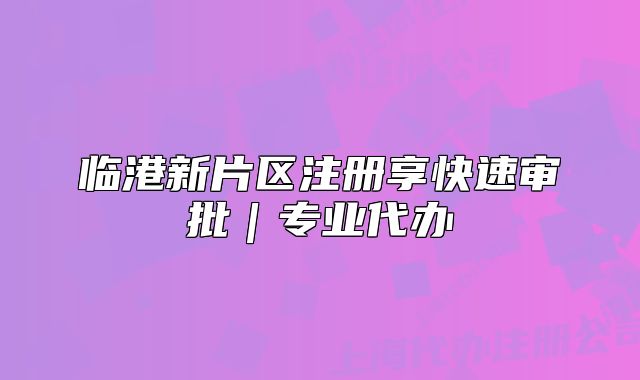 臨港新片區(qū)注冊(cè)享快速審批｜專(zhuān)業(yè)代辦