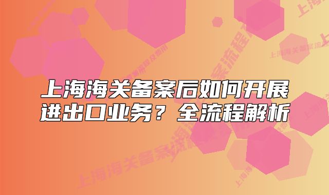 上海海關備案后如何開展進出口業(yè)務？全流程解析