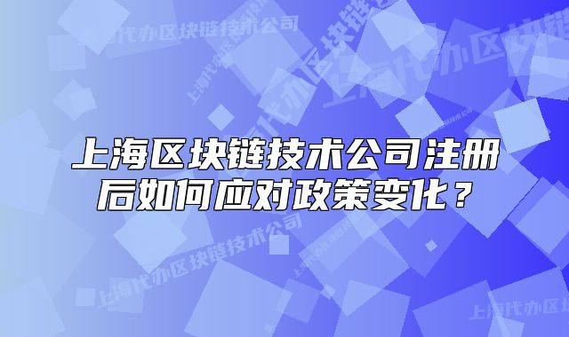 上海區(qū)塊鏈技術(shù)公司注冊后如何應(yīng)對政策變化？