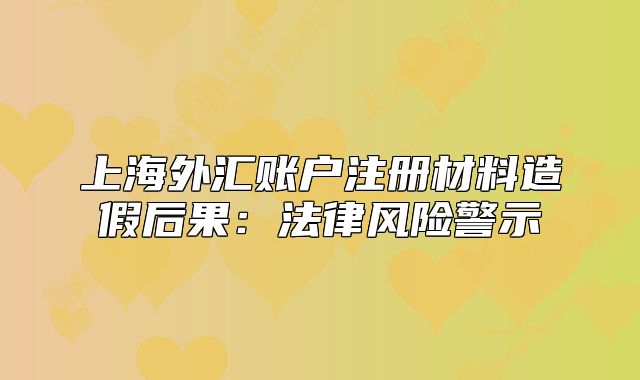 上海外匯賬戶注冊材料造假后果：法律風(fēng)險警示